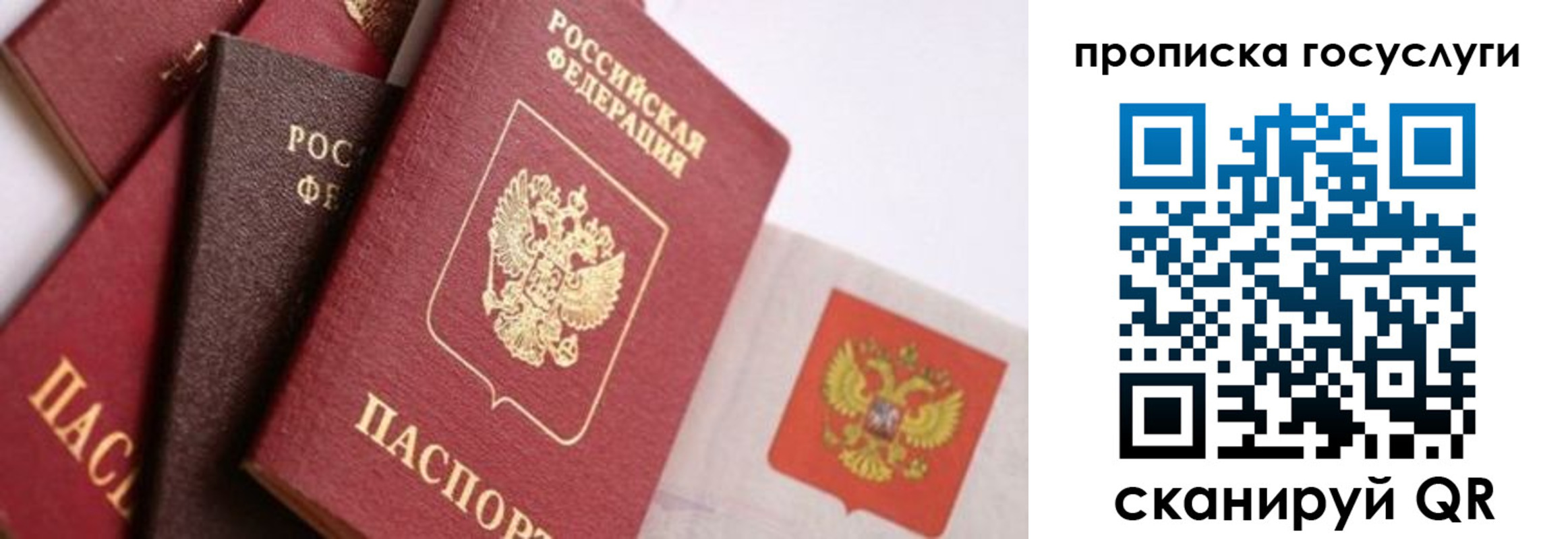 прописка законно в Большом Камне